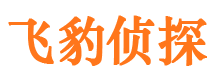 广河市私家侦探